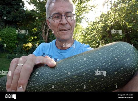 Amateur Gardener Enjoys A Large Zucchini Cucurbita Pepo Subsp Pepo Stock Photo Alamy