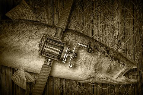 Steelhead Trout Catch In Sepia Photograph By Randall Nyhof Fine Art