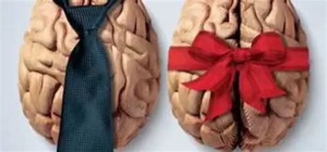 The Science Of Sex Gender And Sexuality