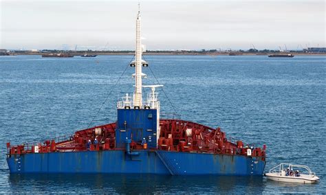 Falcon Galveston Key Piet Sinke 25 11 2014 12 Piet Sinke Flickr