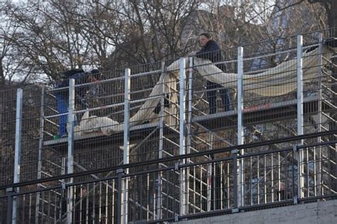 Fotostrecke Sichtbarer Protest Stuttgart Gegner Befestigen Banner