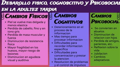 Desarollo Fisico Cognoscitivo Y Psicosocial En La Adultez Tardia