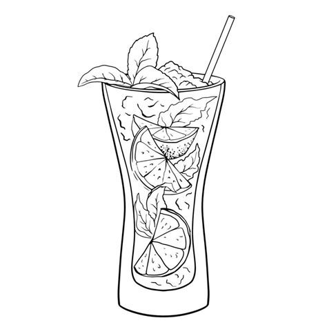 Mojito Cocktail Hand Drawn Cocktail With Ice Mint And Lime Vector