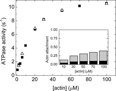 Kinetic simulation of the actomyosin ATPase cycle. Solid squares ...