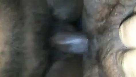 Free Raw Black Dick Gay Porn Videos XHamster