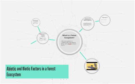 Abiotic and Biotic Factors in a forest Ecosystem by Emma Holmes on Prezi