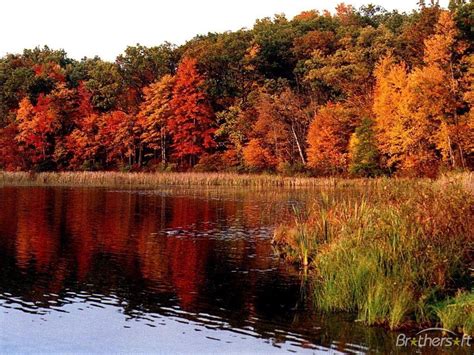 Fall Foliage Wallpapers For Desktop - Wallpaper Cave