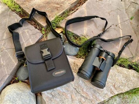 7 Best 8x42 Binoculars for Bird Watching - BinocularsRadar