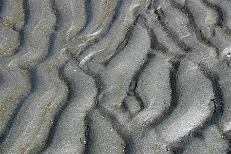 Abstract Sand Shapes Sea Organic Shapes Photo Background And Picture ...