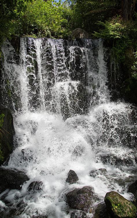 Rainbow Springs waterfall Photograph by Matthew Leane