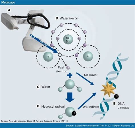 Radiobiology; Radiation Biology