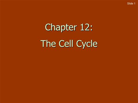 Ppt Chapter 12 The Cell Cycle Powerpoint Presentation Free Download