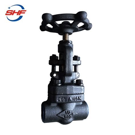 Forged Steel A105 NPT Connection Globe Valve China Forged Steel Globe