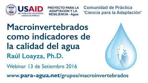 Webinar Macroinvertebrados Como Indicadores De La Calidad De Agua