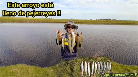 Pesca De Pejerreyes De Costa En Arroyo Espectacular Youtube