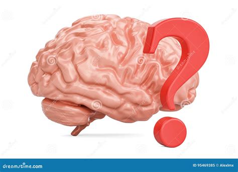 Human Brain With Question Mark D Rendering Stock Illustration