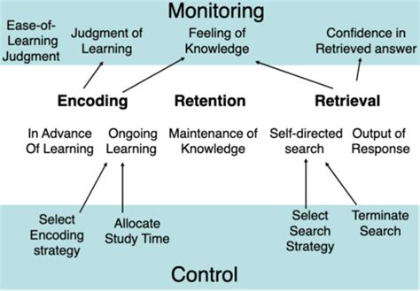 Autobiographical Memory And Metacognition Flashcards Quizlet