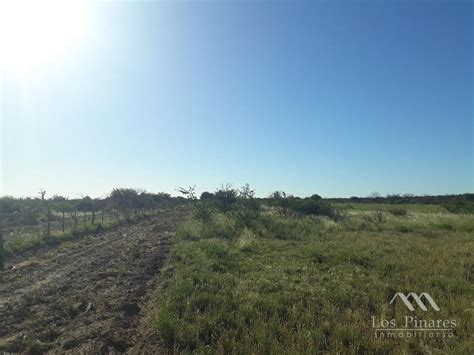 Campo En La Pampa A Km De De Rio Colorado Y La Adela Sobre Ruta