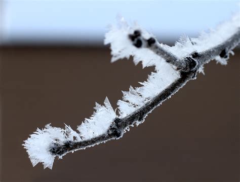 PHOTO OF THE DAY: ICE SCULPTURE - The Courier - The Courier