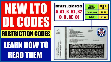 Lto Exam Reviewer Non Pro Pro Dl Code B B B Tagalog Off