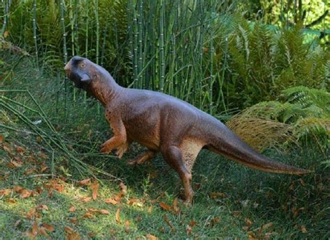 Parrot Lizard Fossil Find Is The Holy Grail For Naked Dinosaurs