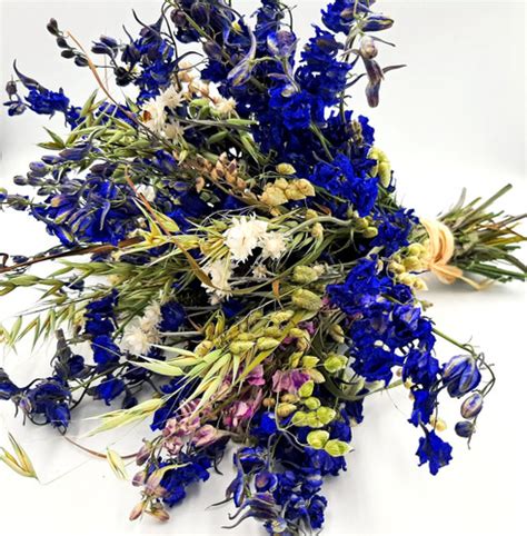 Blue/Purple dried Larkspur bouquet | Mysite