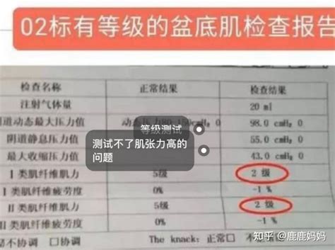 产后修复干货教你轻松看懂盆底肌检查报告 知乎