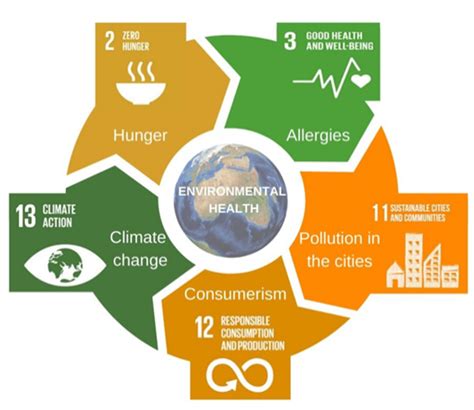 Sustainability Free Full Text Development Of Environmental Health