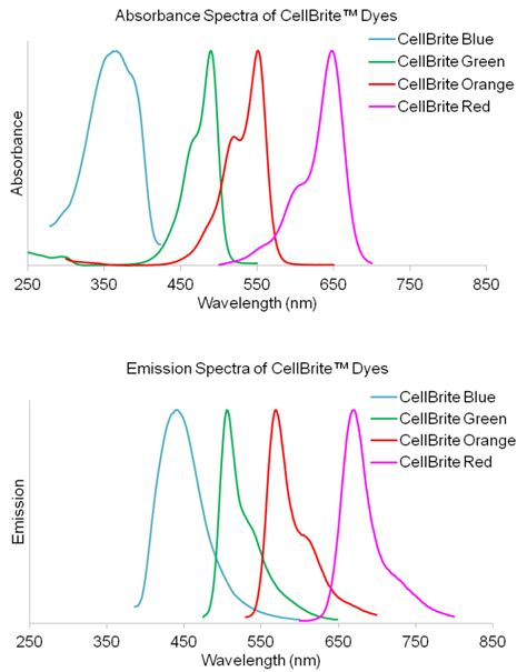 Cellbrite® Cytoplasmic Membrane Dyes Biotium