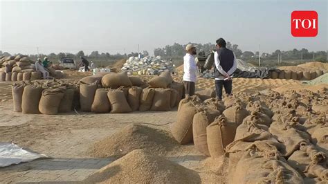 Govt Opens Paddy Procurement Centres In Kathua For Farmers To Sell