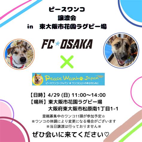 【ピースワンコの譲渡会】429土ピースワンコ譲渡会in東大阪市花園ラグビー場生駒譲渡センター ピースワンコ・ジャパン