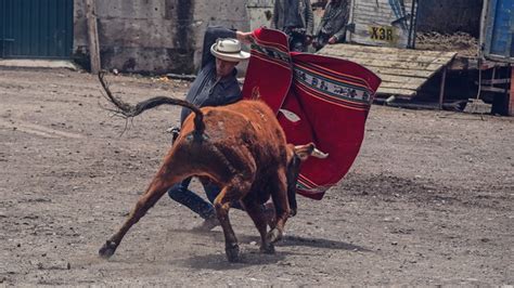 Per Toros Llusco Pfuisa Im Genes De La Corrida De Toros De La