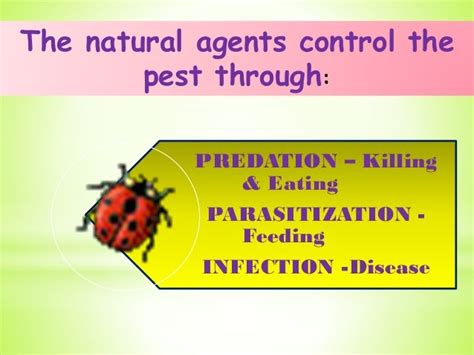 Pest Management In Organic Farming