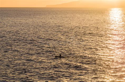 604 Silueta De La Canoa En Puesta Del Sol Fotos De Stock Fotos Libres