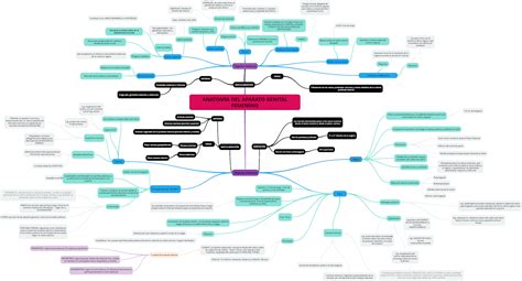 ANATOMÍA DEL APARATO REPRODUCTOR FEMENINO