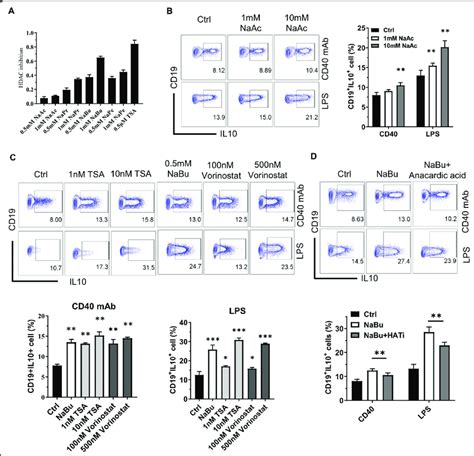 Promotion Of B Cell Generation By Butyrate Depends On Its Hdac