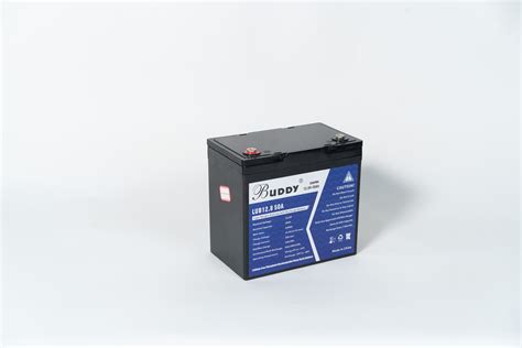 RBC55: A Comprehensive Review of Its Importance and Applications