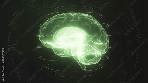 Futuristic Green Digital Brain In Particle Cyberspace Neurons Firing