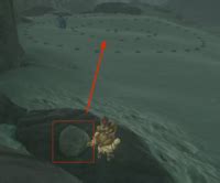 Sturnida Secret Hot Spring Zelda Dungeon Wiki A The Legend Of Zelda Wiki