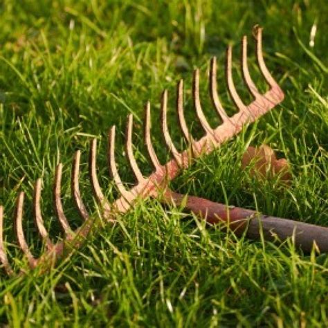 Uses for Old Garden Rakes | ThriftyFun