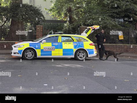 city of london police dog unit Stock Photo - Alamy