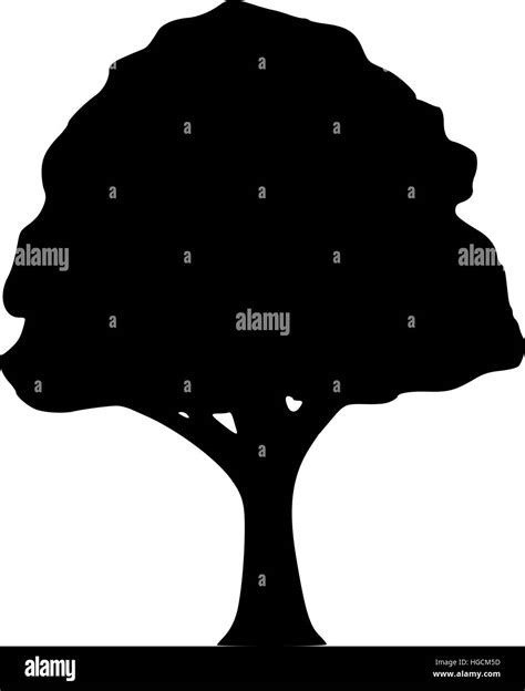 Silueta de un árbol de hoja caduca Imagen Vector de stock Alamy