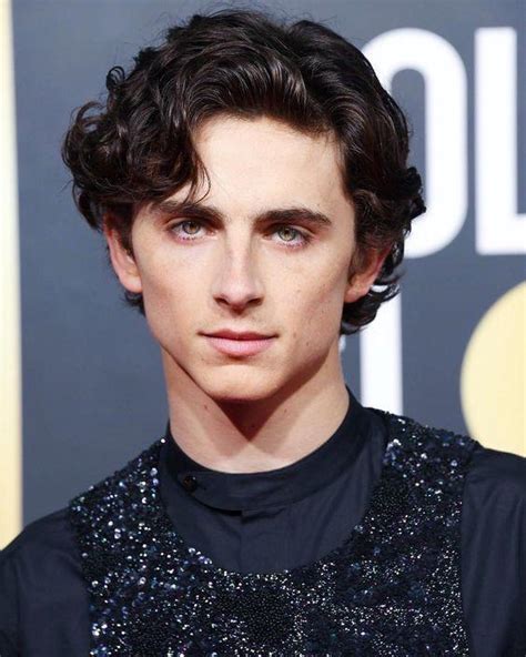 Hes Just So Incredibly Gorgeous Timothée Chalamet R Ladyboners