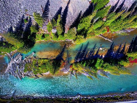 fotos gratis naturaleza paisaje natural pintura de acuarela arbol