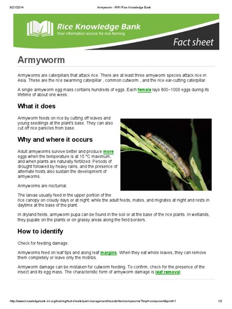 Pdf Armyworm Irri Rice Knowledge Bank Dokumen Tips