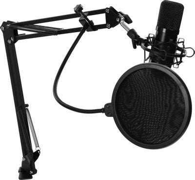 Микрофон Ritmix RDM-169, черный [80000749] – купить в Ситилинк | 1204293