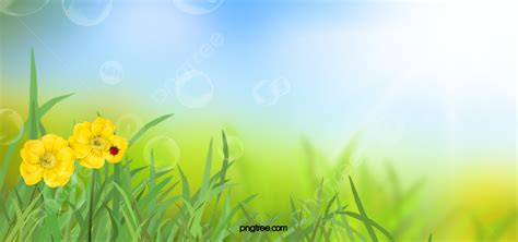 Blue Sky Sunlight Spring Meadow Flower Bubble Background Sunshine