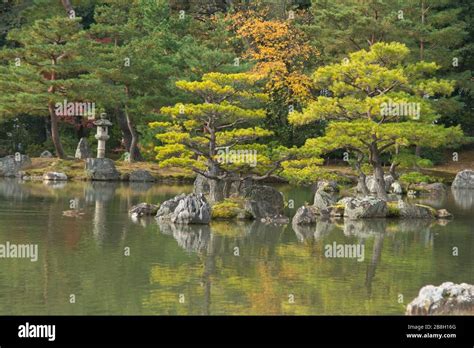 Pond in Japanese garden Stock Photo - Alamy