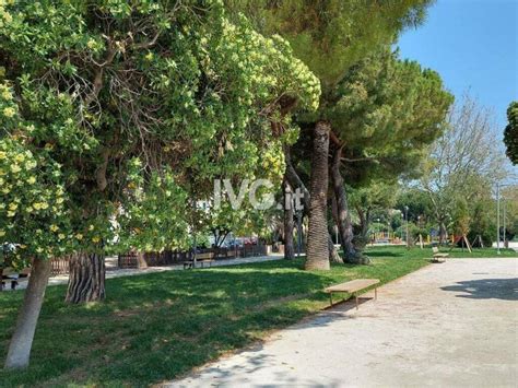 Savona Inaugurato Il Giardino Dei Giusti Persone Normali Che Hanno