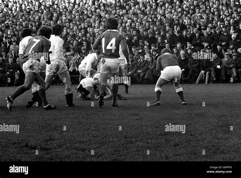 Five nations rugby ireland v england lansdowne road hi-res stock ...